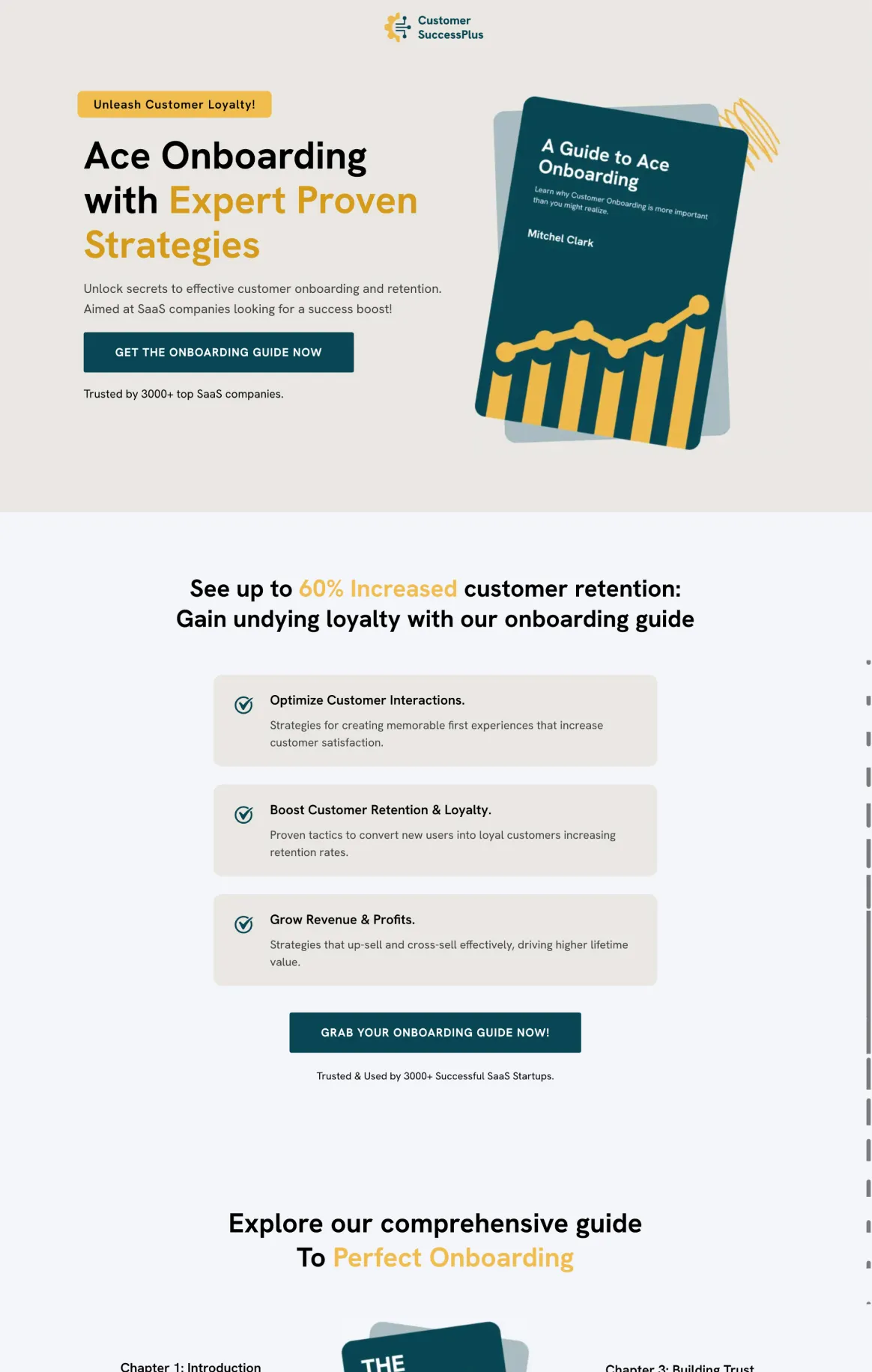 Customer Onboarding Guide Lead Magnet